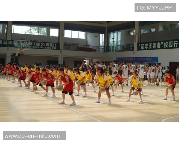 足球的魅力与精神探讨:从场上竞技到生活启示的全面分析